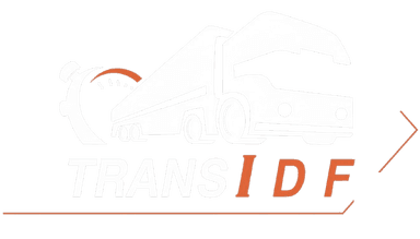 Logo TransIDF